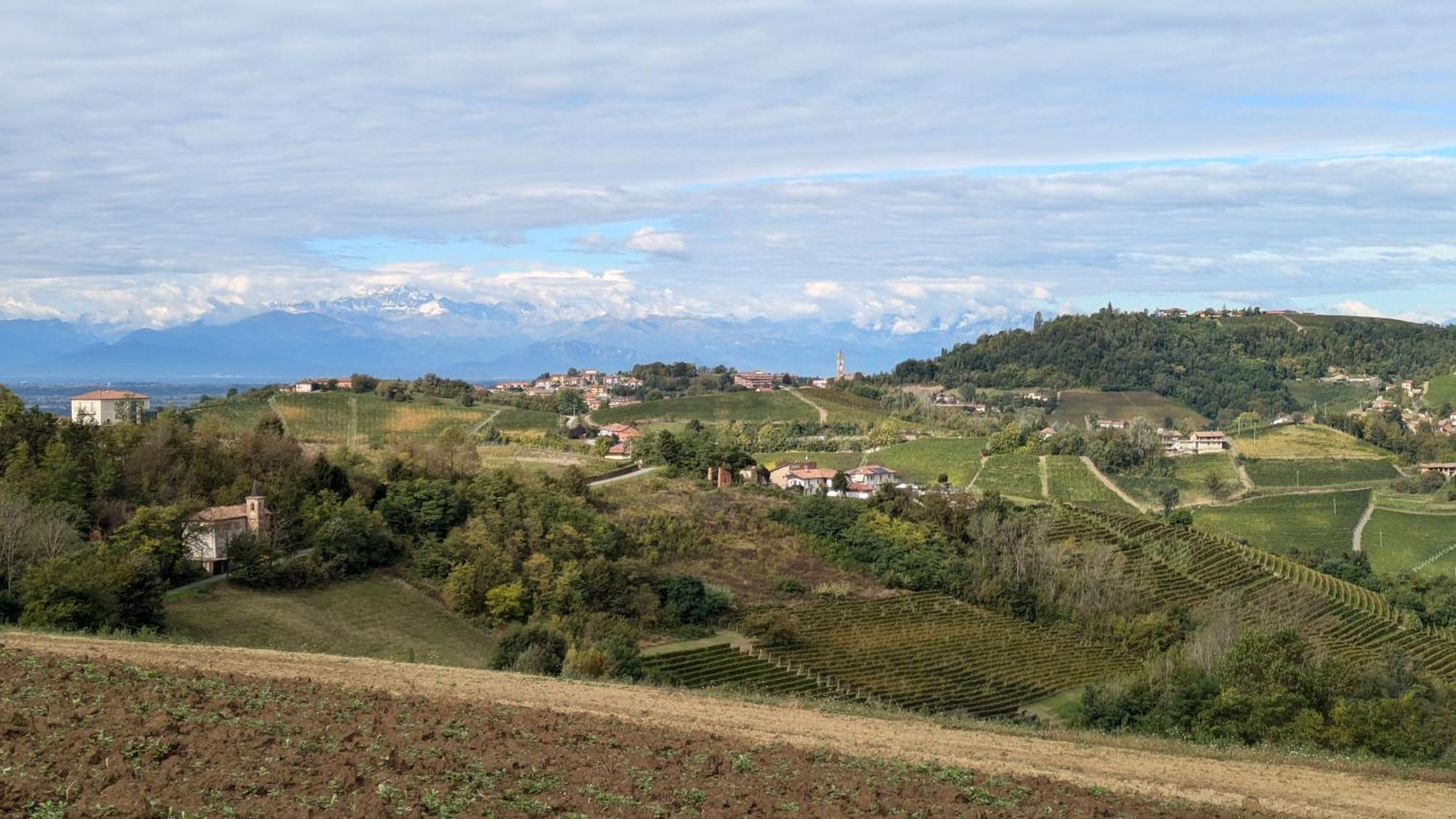 Charming Barolo Wine Loft Hotell Monforte dʼAlba Eksteriør bilde