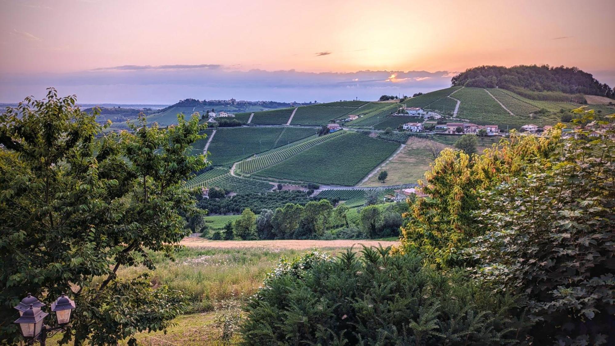 Charming Barolo Wine Loft Hotell Monforte dʼAlba Eksteriør bilde