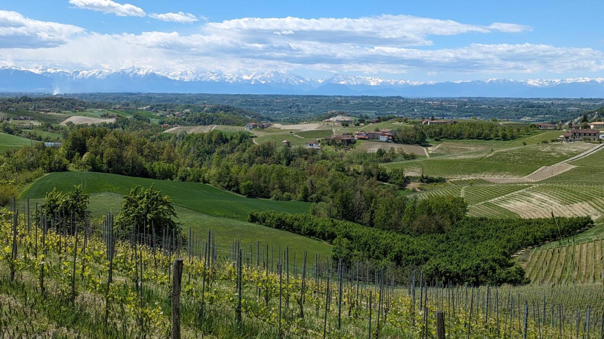 Charming Barolo Wine Loft Hotell Monforte dʼAlba Eksteriør bilde